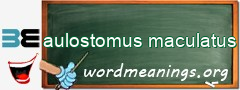 WordMeaning blackboard for aulostomus maculatus